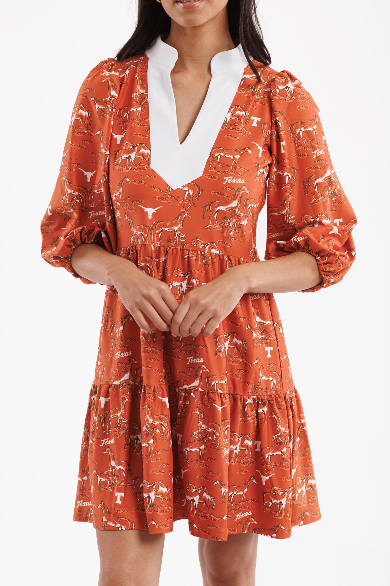 Tailgate Collection Tory Dress - Texas Horse Toile